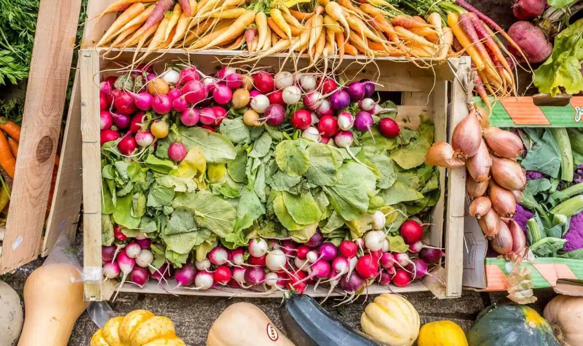 Il veganesimo, uno stile di vita a 360 gradi