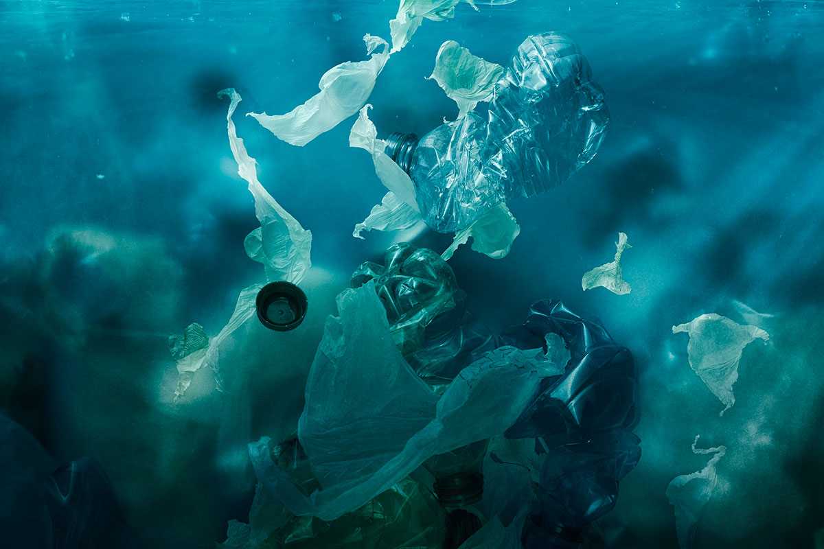 Plastiche biodegradabili e compostabili - - Look Out News