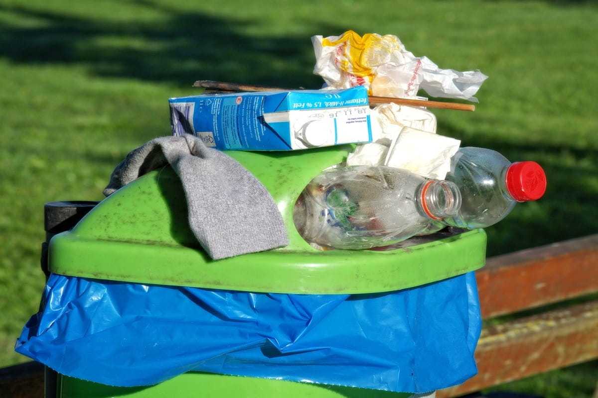 Gestione rifiuti: come smaltirli correttamente - - Look Out News