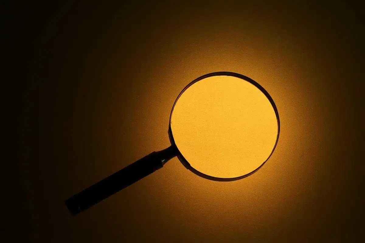 Ricerca degli eredi legittimi: come agisce un investigatore privato - ricerca eredi legittimi - Look Out News