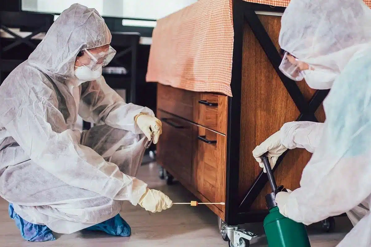 Come prevenire la comparsa delle larve - prevenire larve - Look Out News