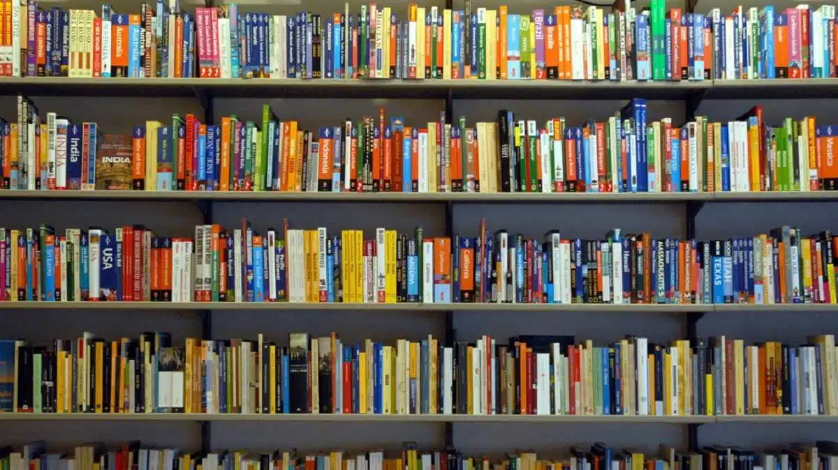 Ma è meglio il libro o il Film? - libro o film - Look Out News