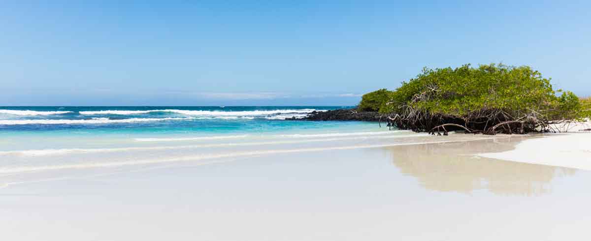 Baia Tortuga Santa-Cruz-Isole-Galapagos