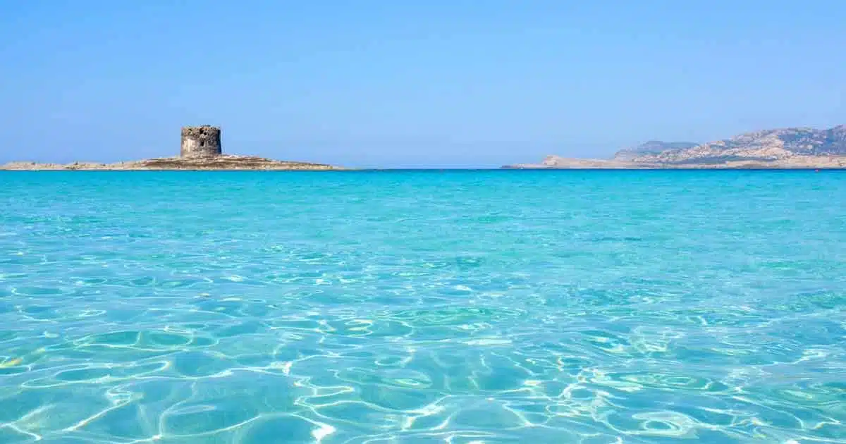Spiaggia La Pelosa Sardegna Italia