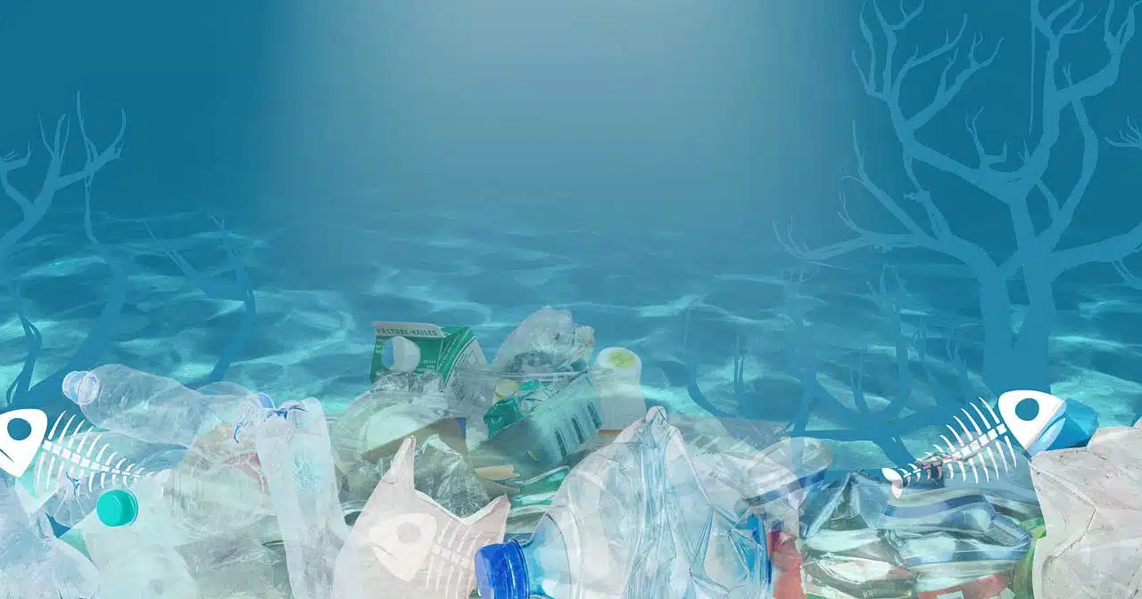 microplastiche-possono-danneggiare-gli-oceani