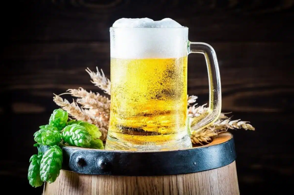 L’arte di produrre birra artigianale: dalla materia prima al bicchiere - birra artigianale - Look Out News