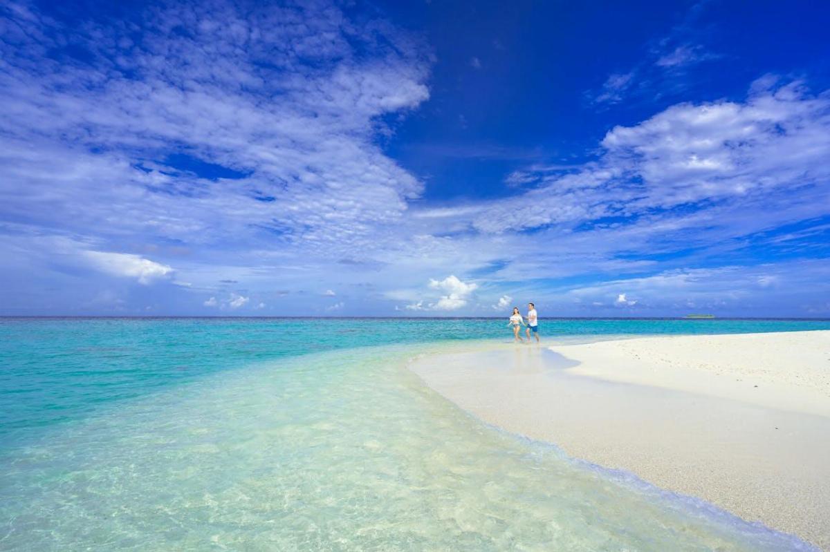Romanticismo a bordo: noleggiare un catamarano per una luna di miele da sogno alle Bahamas - noleggio catamarano luna di miele - Look Out News
