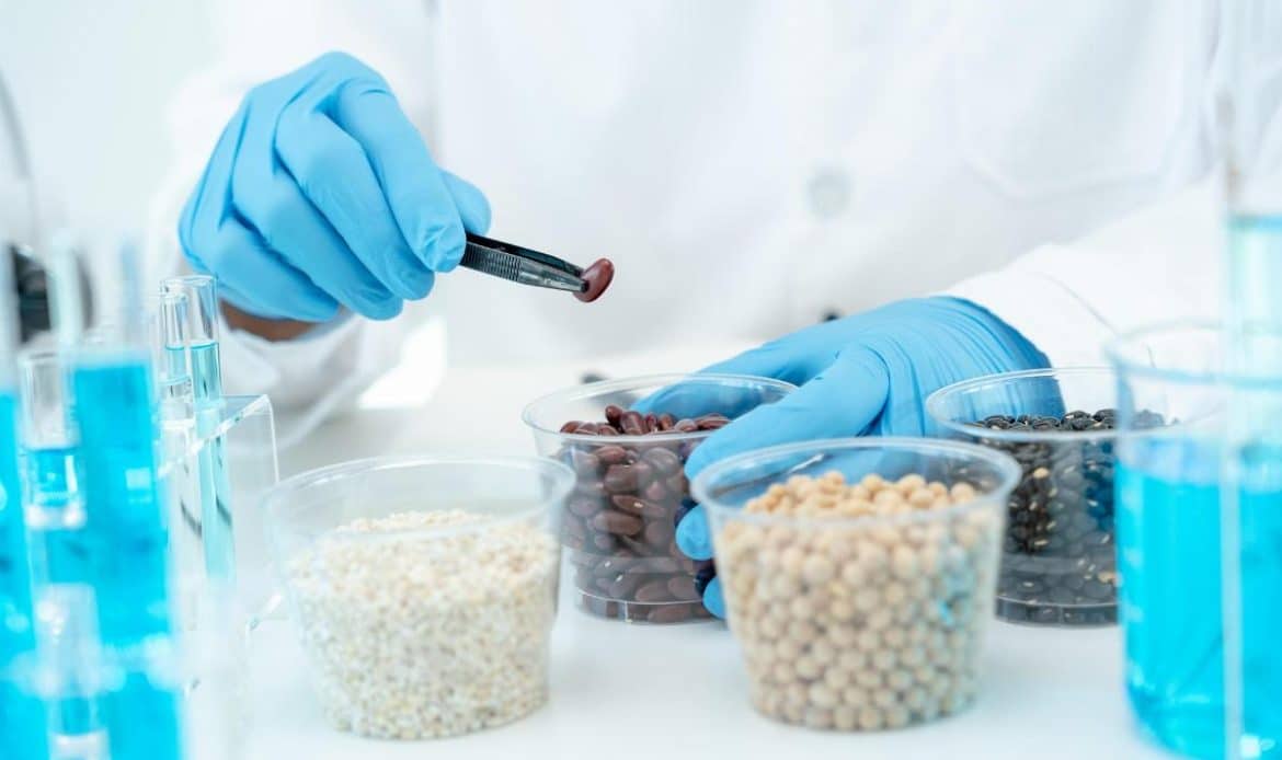 Biologico sfuso senza minimo: quando è una scelta intelligente? - - Look Out News Biologico sfuso senza minimo: quando è una scelta intelligente? - - Look Out News